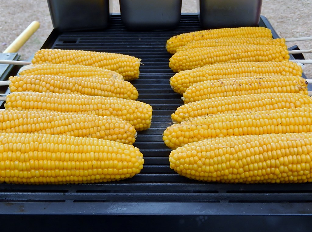 Rows of golden sweet corn cobs roasting side by side on a large commercial roaster