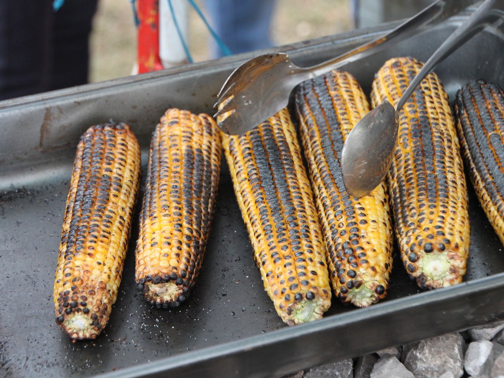 Roasted corn cobs resting in a stainless steel serving tray with tongs